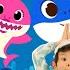 Baby Shark Song Baby Shark Do Do Do Song Nursery Rhymes And Kids Song