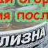 Негламурный огород 12 Обработка участка после томата перца и баклажана как это сделать правильно