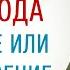 Карма рода Проклятье или благословение Предназначение мужчины и женщины в роду Арина Никитина