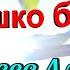 Стихотворение Травка зеленеет солнышко блестит Плещеев Алексей