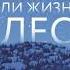 Генри Дэвид Торо Уолден или Жизнь в лесу Аудиокнига