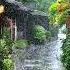 Rainy Day Raindrop Melody雨天 雨滴旋律 Rainsoundsforsleeping Rain 治愈 Rainsoundsforsleep Rainsounds