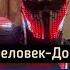 Хищник света поёт человек дом