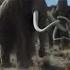 10 000 BC Mammoth Hunt