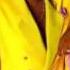 LeVert I Ve Been Waiting