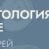 Лекция Андрея Журавлева Палеонтология на Волге