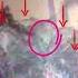 Ghost Of Marilyn Monroe And Other Ghosts