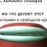 три два один обычно пукни