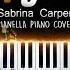 On My Way Alan Walker Sabrina Carpenter Farruko Piano Cover By Pianella Piano