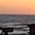 Sea Of Dreams