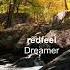 Redfeel Dreamer