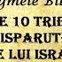 Cartea Misterelor Enigmele Bibliei 8 Cele Zece Triburi Dispărute Ale Lui Israel