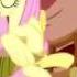 The Best Of Fluttershy