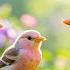 Calming Music For Nerves Healing Music For Heart And Blood Vessels Relaxation Music For The Soul