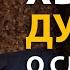 Джордан Питерсон Правила Успеха Чтобы Избегать Слабости и Достигать Всего в Жизни