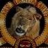 Metro Goldwyn Mayer 1995