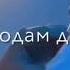 дир карди бебин аз зиндаги ҷо мондам бо гитара