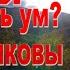 ГДЕ МОЖНО ОТДОХНУТЬ ДУШОЙ И УСПОКОИТЬ УМ ШАПОШНИКОВЫ ПОЛЯНЫ ГОРЯЧИЙ КЛЮЧ КУБАНЬ