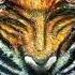 Survivor Eye Of The Tiger Metal Cover Remix By Karl Anderson