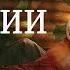 Месть Бегонии 1 12 серии русская озвучка ФИЛЬМ дорама The Revenge Of Begonia