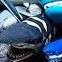 Sharks Collection Salmon Shark Megamouth Great White Thresher Lemon Shark Gray Reef Shark