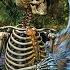 Bones