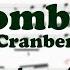 Zombie The Cranberries Alto Saxophone Sheet Music Gm Key Karaoke Easy Solo Cover