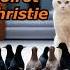 Аудиокнига The Cat Among The Pigeons Hercule Poirot Agatha Christie