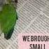 Conure Chick Died Last Min With Conure Missyou Lost 4k Conure Sunconure Death Died