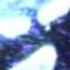 BUVETTE INNER WARS