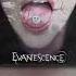 Wasted On You Acoustic Instrumental Evanescence