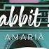 Electro Swing Royalty Free Music Swing Rabbit Swing By Amarià