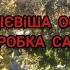 Викорінююча ОБРОБКА Саду восени Найпростіший та Дієвий СПОСІБ Перевірений Роками та Поколіннями