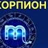 ВСЯ ПРАВДА ПРО ВЕСЫ и СКОРПИОНОВ Евгений Волоконцев