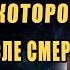 ЭТО ИЗМЕНИТ ВАШЕ СОЗНАНИЕ Физик Владимир Ефремов о ДРУГОМ МИРЕ и Жизни После Смерти