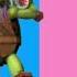 Genderswap Edit Shorts Teenage Mutant Ninja Turtles