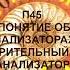 П45 ПОНЯТИЕ ОБ АНАЛИЗАТОРАХ ЗРИТЕЛЬНЫЙ АНАЛИЗАТОР БИОЛОГИЯ 8 КЛАСС АУДИОУЧЕБНИК