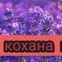 Українські пісні Плач кохана плач
