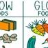 The 3 Basic Food Group Go Grow And Glow Food