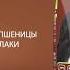 Корм для собак Дилли