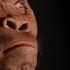 New Human Ancestor Discovered Homo Naledi EXCLUSIVE VIDEO National Geographic