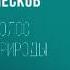 Аудиокнига Николай Лесков Голос природы