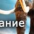 Клонирование мамонта Лекции по палеонтологии палеонтолог Вадим Титов Научпоп