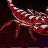 The Best Of Scorpions Scorpions Greatest Hits Full Album 2023