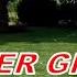 Tips For Shady Lawns How To Keep Better Grass Under Trees