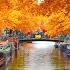 Netherlands 4K Stunning Autumn Scenery Vibrant Landscapes Fall Colors In Ultra HD