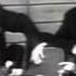 Театральные встречи Ленинградцы у москвичей 1966