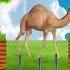 Mustafa Mustafa Rehmat E Do Jahan Shortvideo Ytshorts Islamicshorts