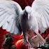 60XMS Tidings All Voices Choir C The Song In The Air Acapella Christmas Songs Nicholas Mazzio Lauren
