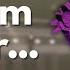 The Boss That Started It All Changed Tower Defense Forever